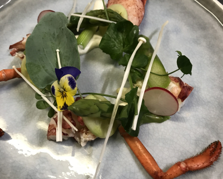 Salade van Canadese kreeft